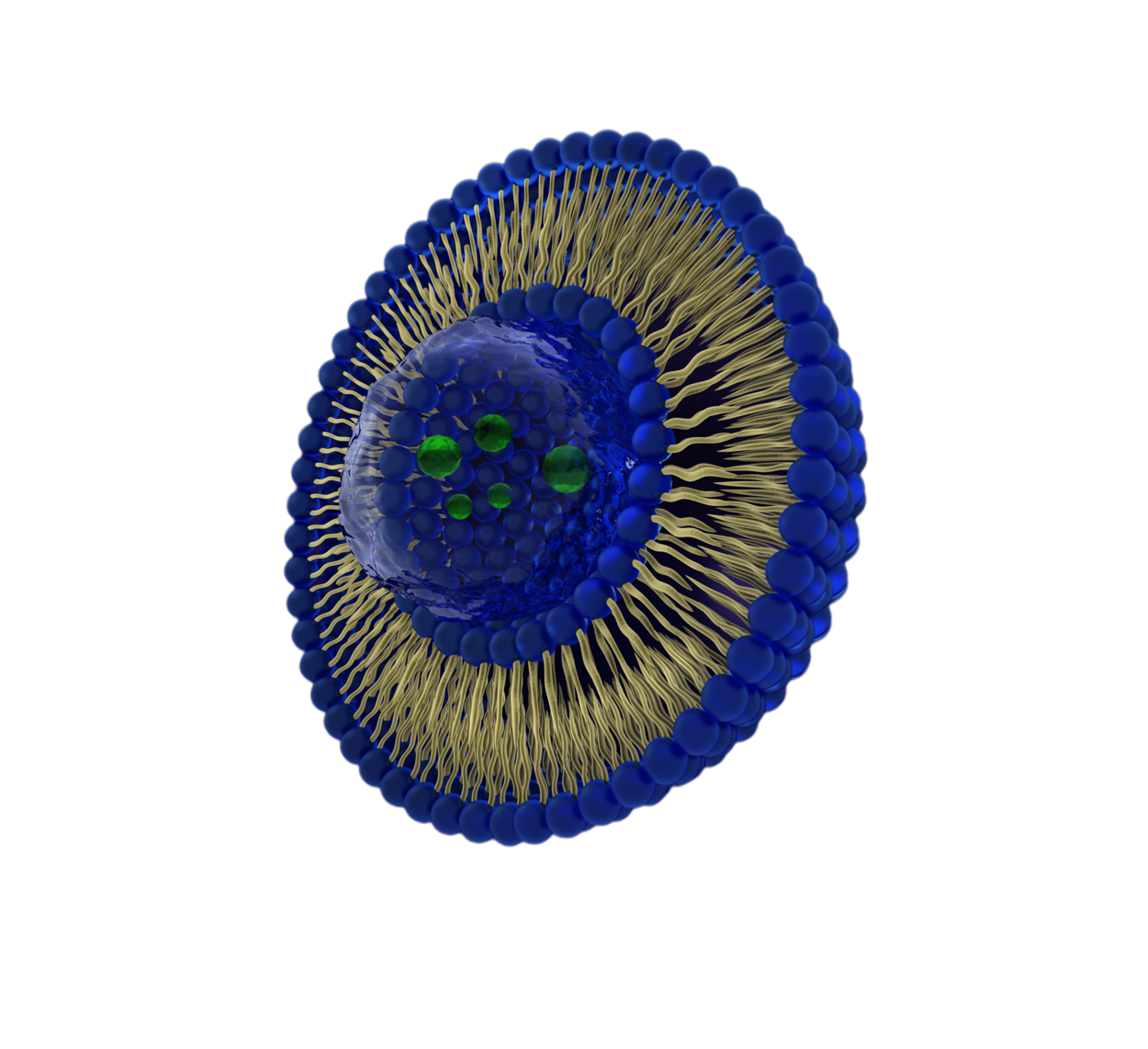 Liposomal Vitamin C